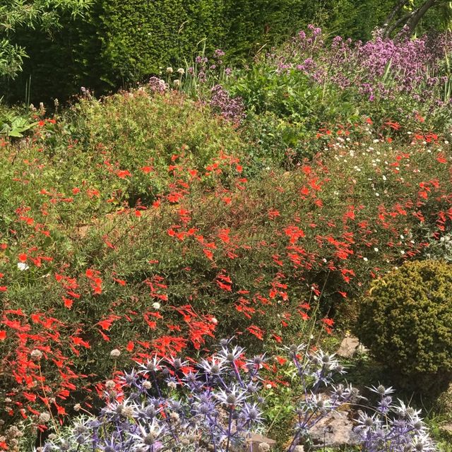 English Walled Gardens