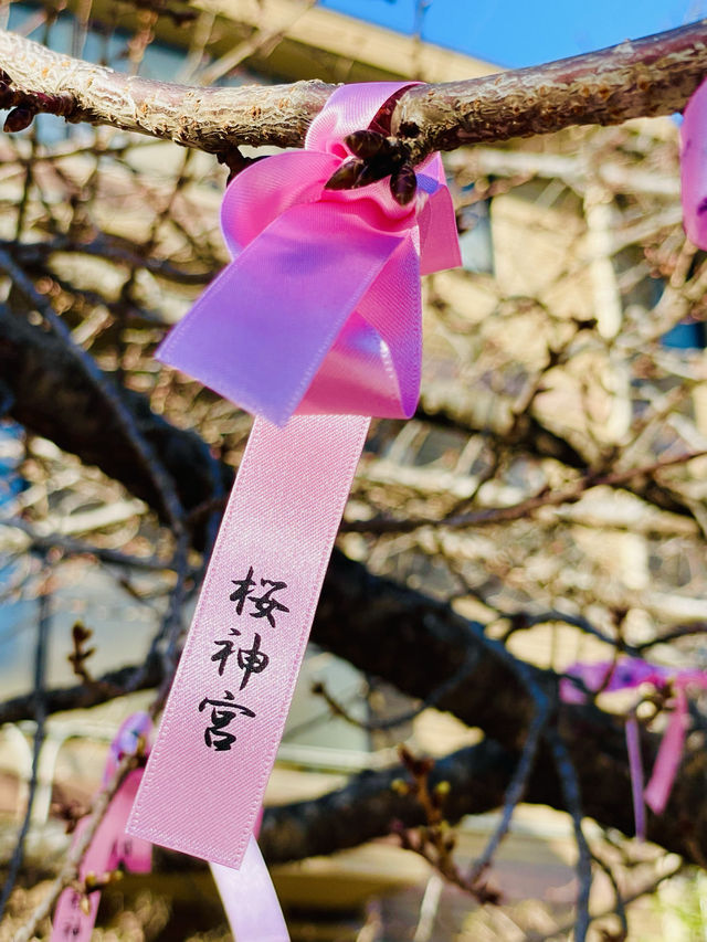 【東京都/桜神宮】正月の余韻残る参拝