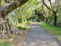 Shizuoka Sengen Shrine