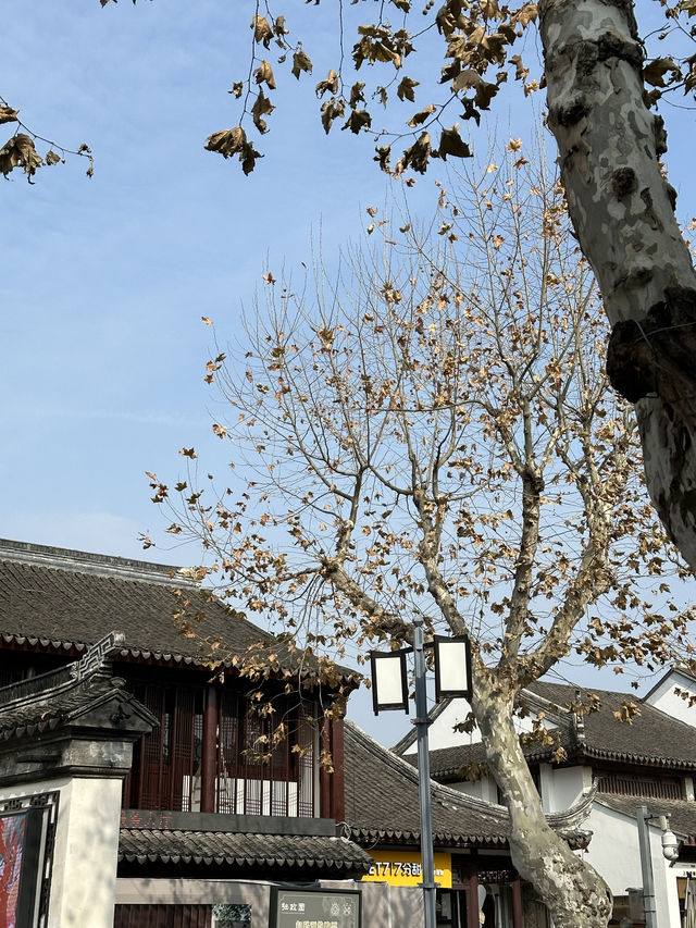 Humble Administrator's Garden - Suzhou, China