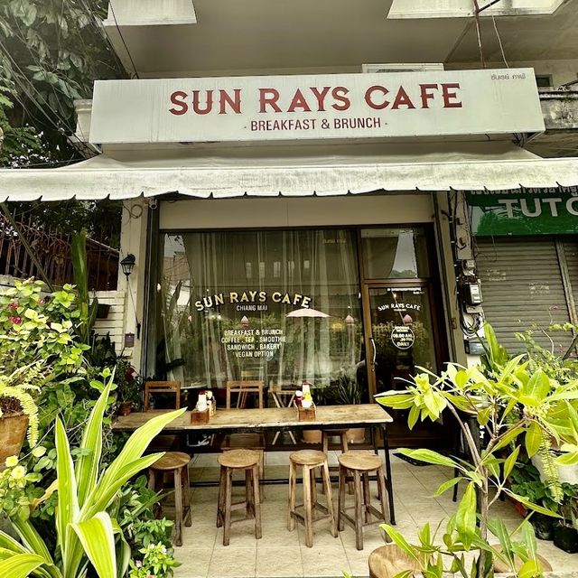 【写真映え！チェンマイのおすすめカフェ🇹🇭】