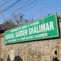 Winter at the Mughal Garden India 