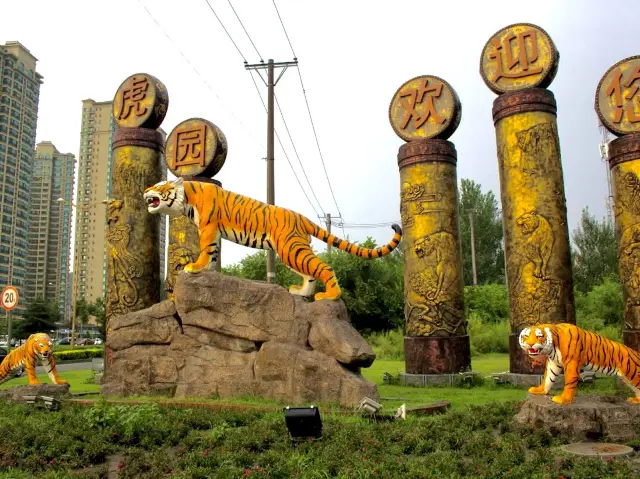 Siberia Tiger Park in Harbin