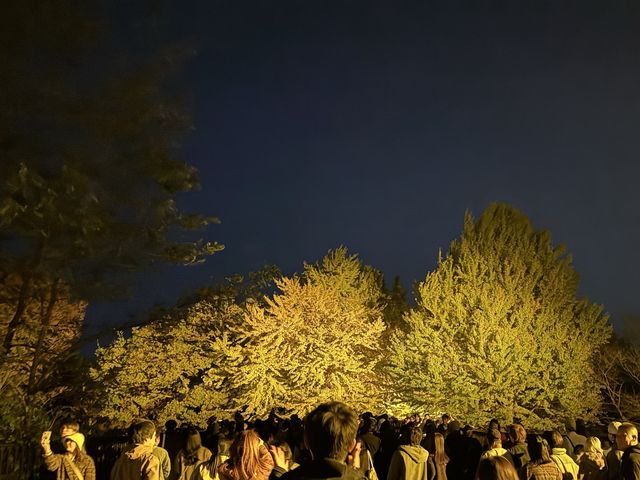 【情人節好去處】東京近郊國営昭和記念公園，晚上過黎影相最佳！