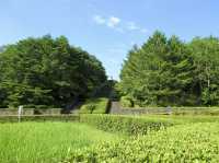 Dainohara Forest Park