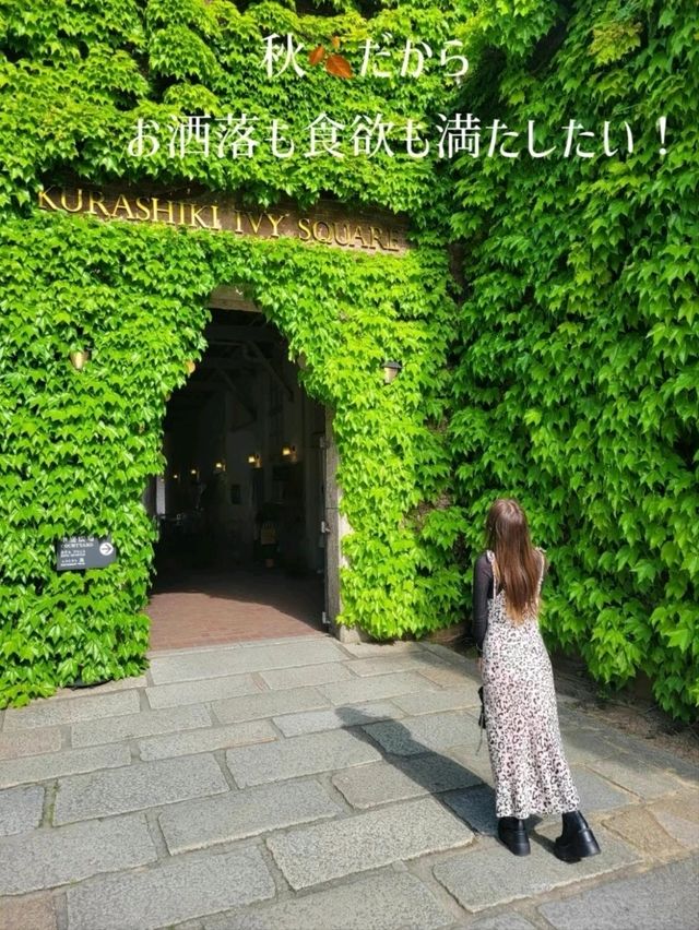 【岡山/秋のおすすめ】お洒落も食欲も満たせる！食べ歩きとフォト📸おすすめスポットご紹介💁‍♀️✨🍡🪔