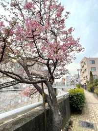 【八津御嶽神社/東京都】美術館風の建物とステンドグラスがある神社