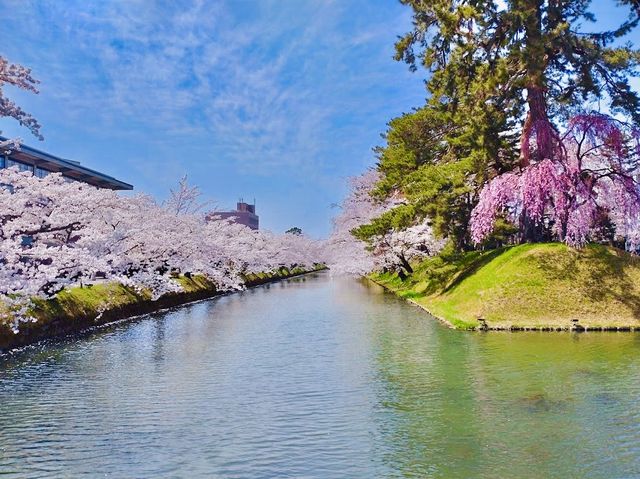 Hirosaki Park 