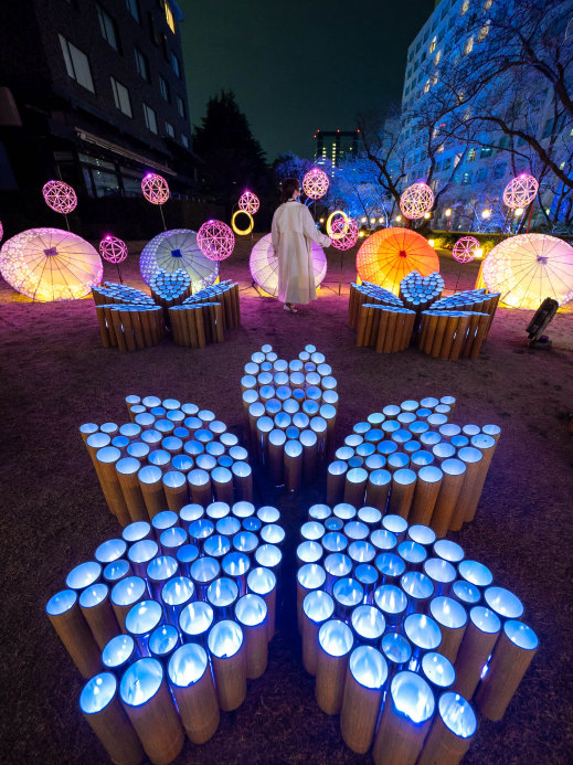 春の竹あかりイベント！🎋】竹あかりで作られた桜の花びらが可愛すぎる