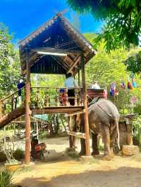 Elephant Village, Hua Hin 