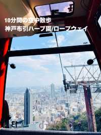 【兵庫観光】10分間の空中散歩！布引ハーブ園のロープウェイで絶景を楽しむ！