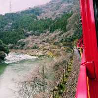 ⛩️🌸京都三千院🍁🚞嵐山小火車