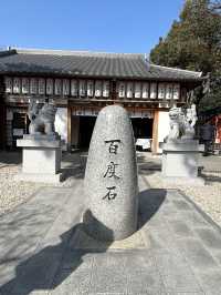 【大阪観光】開運★神社スポット🍡