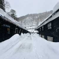 Nyuto Hot Spring Village 