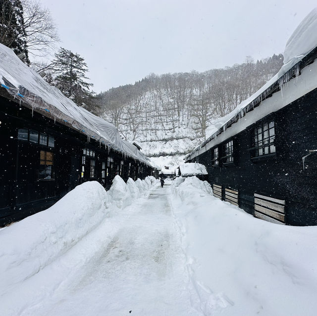 Nyuto Hot Spring Village 