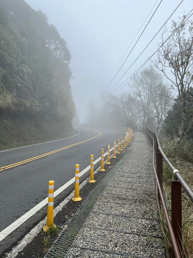 Bong Bong นั่งรถไฟสายหมอกในไต้หวัน🚃