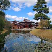 【京都】10円玉に描かれているスポット⭐平等院⭐