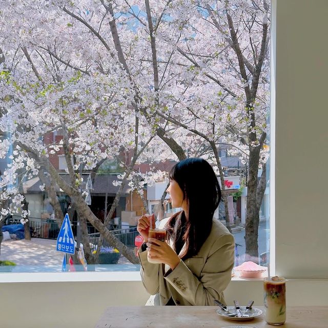 에약은 필수! 서울 벚꽃 카페 추천
