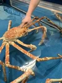 たった900円？！超絶楽しい水族館