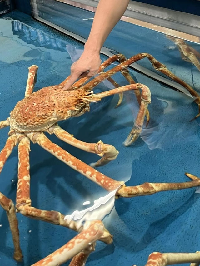 たった900円？！超絶楽しい水族館