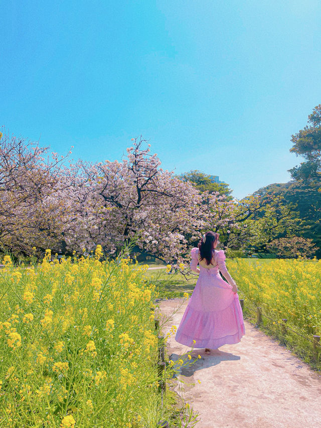 📍浜離宮恩賜庭園 🌸🗼東京・桜と菜の花を楽しむ春散策