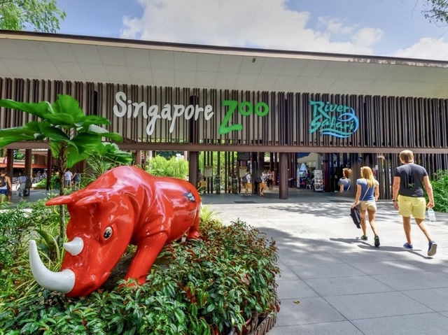 Enormous Zoo in Singapore