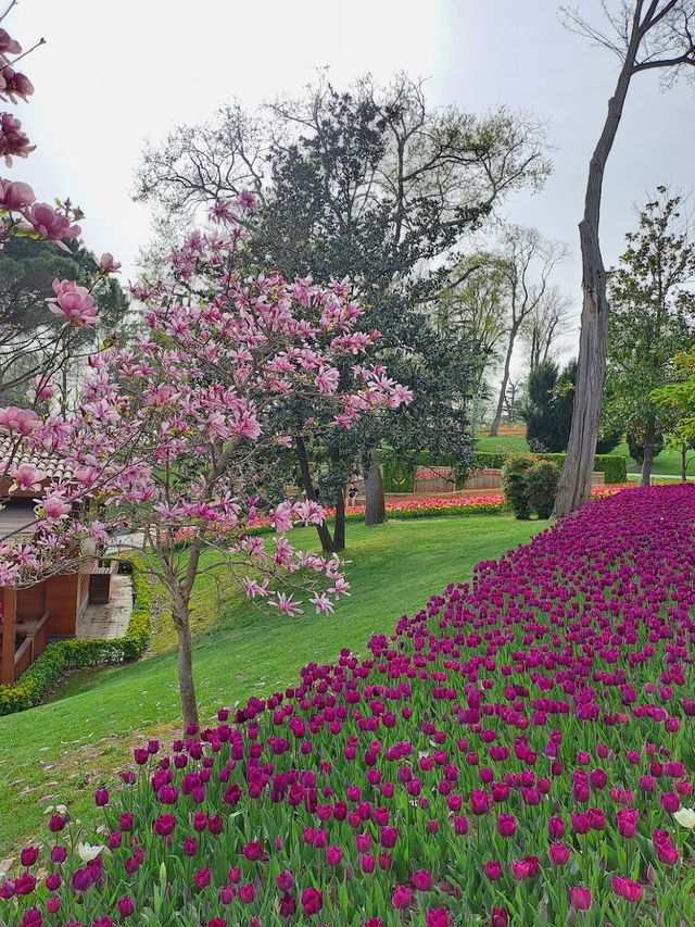 Emirgan Tulip Gardens