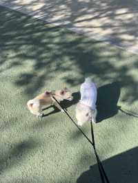 경산에서 뷰가 가장 예쁜 산책 명소 ❤️
