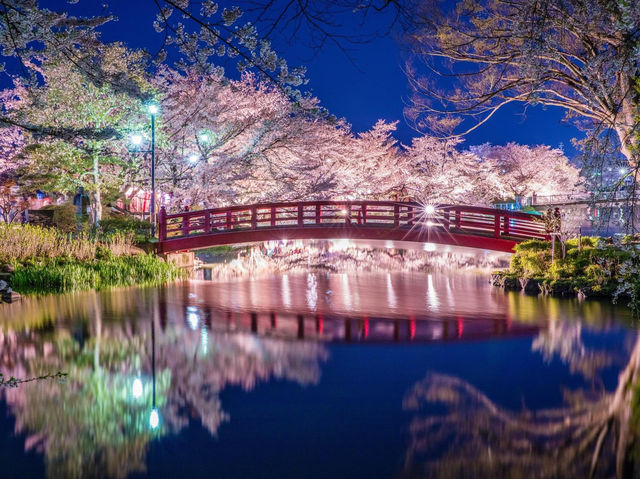 臥龍公園櫻花