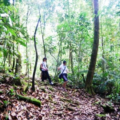 Penrissen Peak: A Hidden Gem in Sarawak's Wilderness