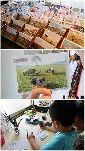 台東親子旅遊大推初鹿牧場chill一天