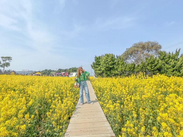 フォトスポットたくさん！伊良湖菜の花ガーデン