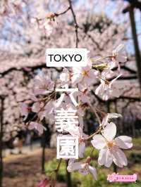 東京で見られるしだれ桜