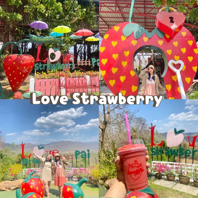 Love Strawberry Pai  