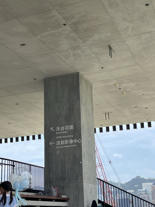 🌼🌸 春日寧靜楽園 🌸🌼 M+空中花園：春日散步好去處！