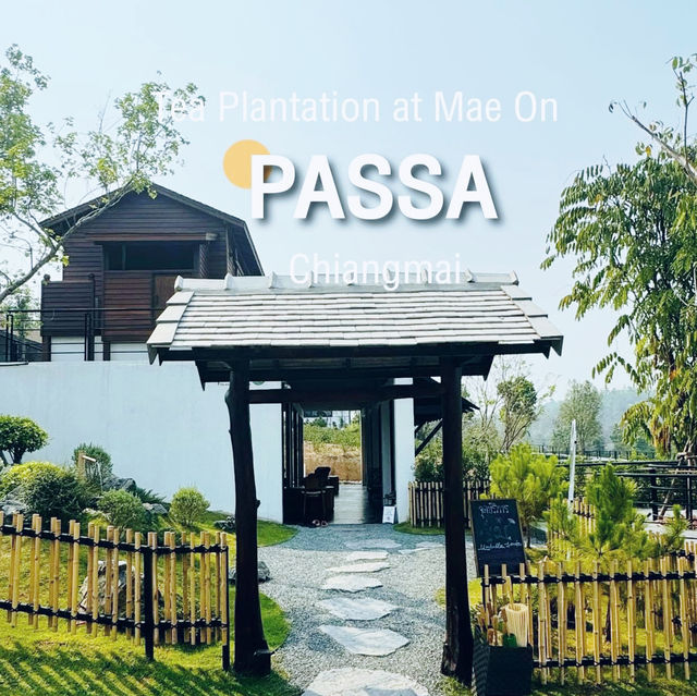 PASSA - Tea Plantation at Mae On ☕🌿