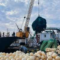 「長浦港～質樸寧靜的生活」