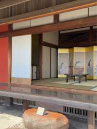 【鹿児島】桜島を眺めるならココしかない！