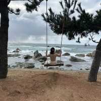 【福井】大人気！絶景レストラン