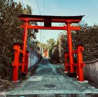 大島神社の連立鳥居