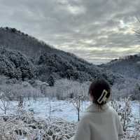 핸드폰이 없어도 괜찮아 힐리언스 선마을에서 디지털 디톡스