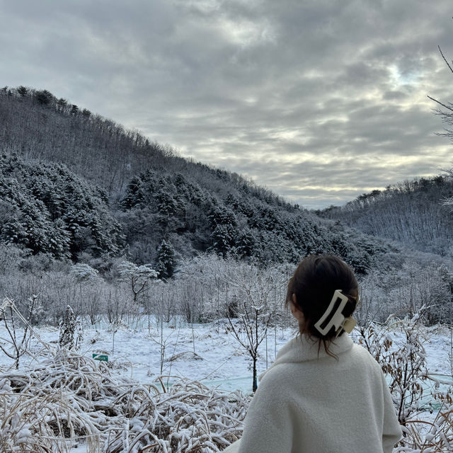 핸드폰이 없어도 괜찮아 힐리언스 선마을에서 디지털 디톡스