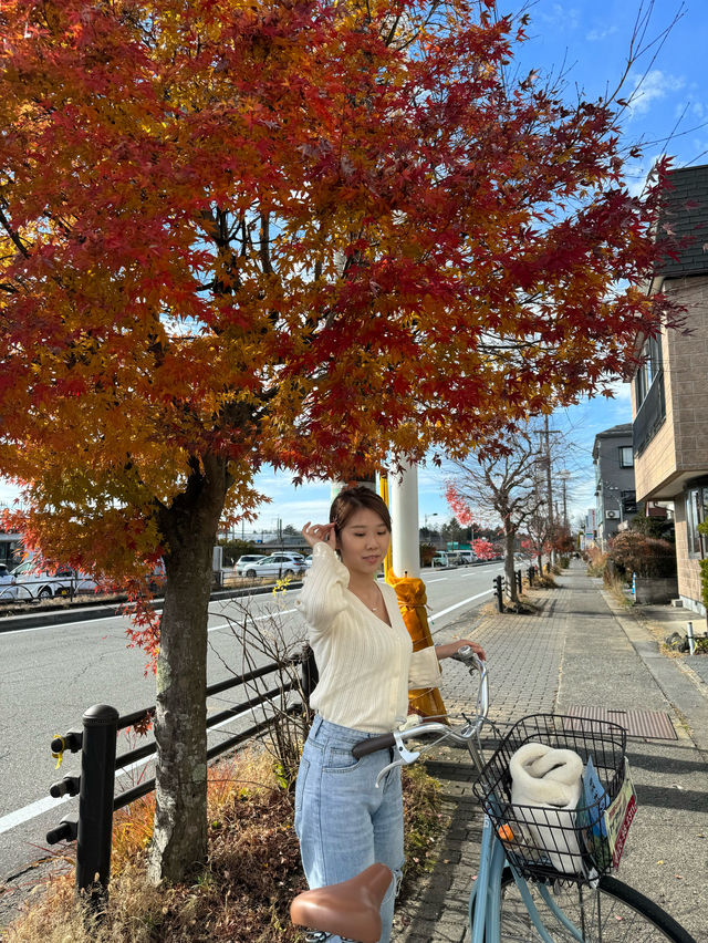 東京近郊·秋季郊游好去處輕井澤🍁