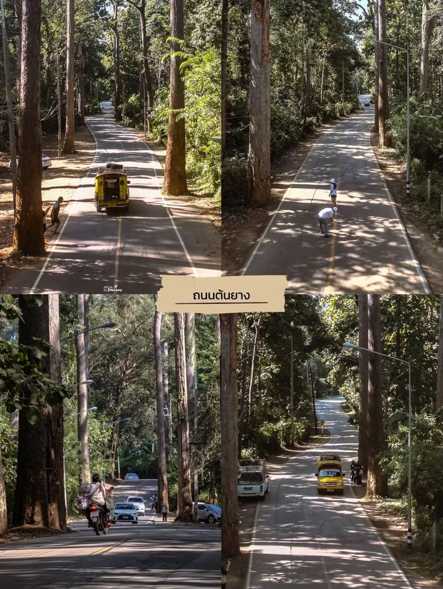 📍ปักหมุด 6 พิกัด เที่ยวเชียงดาว 2 วัน 1 คืน ⛰️🌲🏠