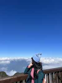 Fansipan Cable Car: A Skyward Odyssey