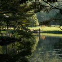 「Everton Park」綠色植物公園，2024年春天好去處
