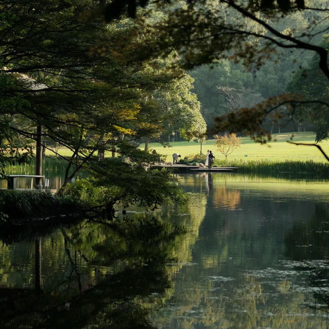 「Everton Park」綠色植物公園，2024年春天好去處