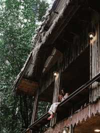 บ้านเล็กในป่าใหญ่ ….. บ้านธารชีวี