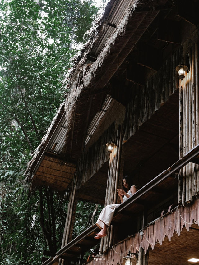 บ้านเล็กในป่าใหญ่ ….. บ้านธารชีวี