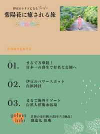 【静岡・伊豆】今が見頃❣️絶対外さない、あじさい旅